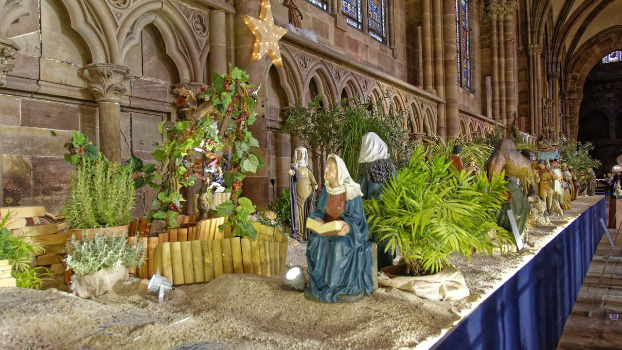 20151224 112425•Strasbourg•Alsace•France